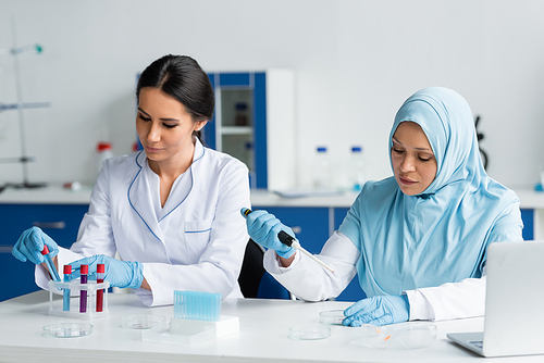 Interracial scientists working with petri dishes and test tubes near laptop in lab