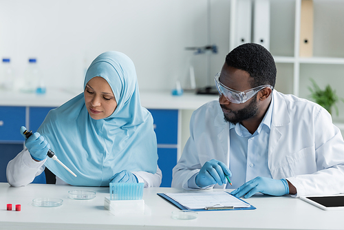 African american and arabian scientists working with petri dishes, digital tablet and clipboard in lab