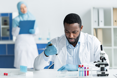 African american scientist working with pipette and petri dishes near blurred colleague in laboratory