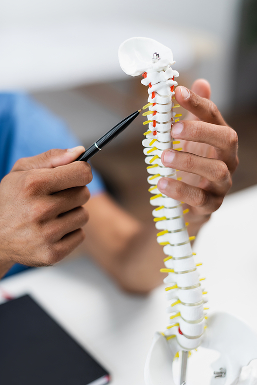 partial view of blurred rehabilitologist pointing with pen at spine model