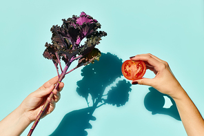 object photo of kale leaf and small tomato in hands of unknown female model on blue vivid backdrop