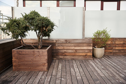 A small tree thrives in a wooden planter on a deck, adding natural beauty and serenity to the outdoor space