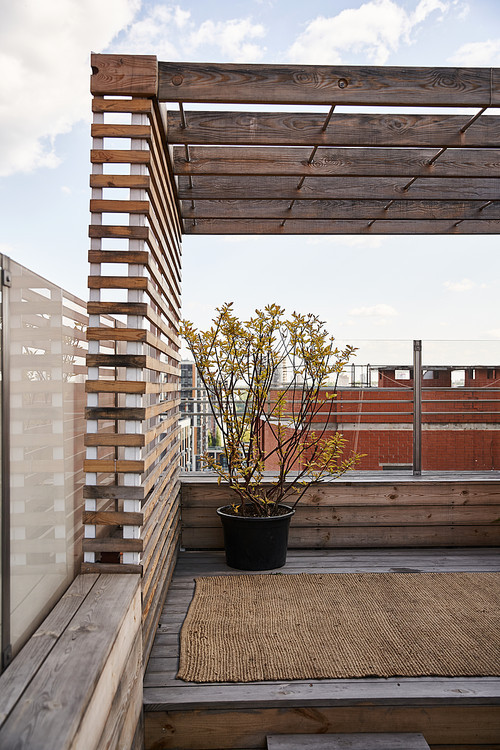 A tranquil balcony setting with a lone potted plant resting on the floor, basking in the sunlight