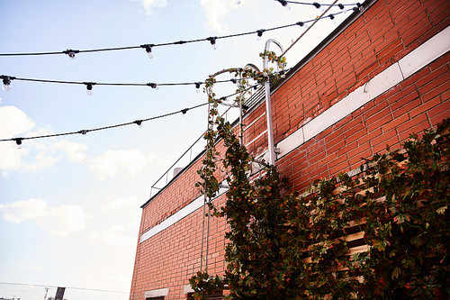 A brick building adorned with numerous vibrant lights creating a dazzling display of illumination against the night sky