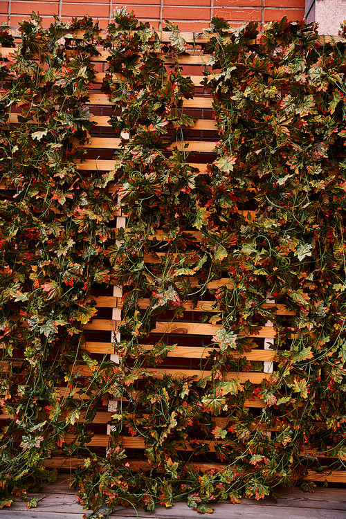 A wooden fence is entwined with lush green vines, contrasting against a rustic brick wall in a charming and whimsical outdoor setting