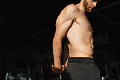 A shirtless man with toned muscles is standing in a gym, focused on his workout routine.