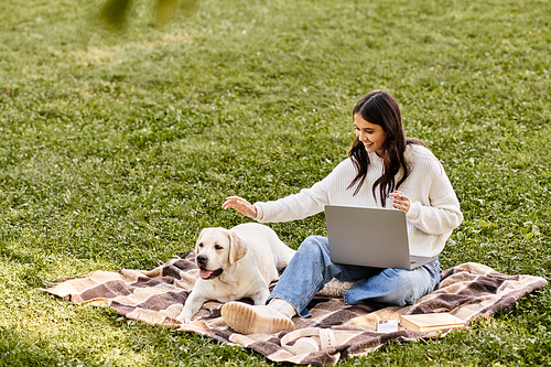 The young woman sits on a blanket in the park, typing on her laptop as her dog playfully interacts.