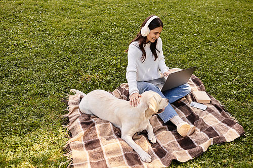 A young woman sits on a cozy blanket in a park, working on her laptop while petting her dog.