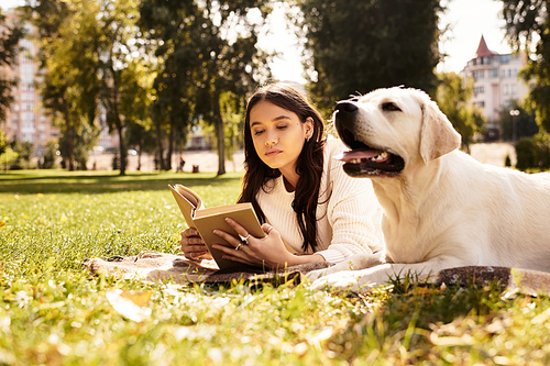 A young woman enjoys a peaceful day reading in a park, accompanied by her friendly dog on a blanket.