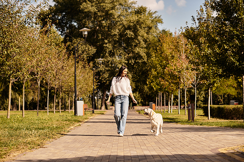 A beautiful woman in warm autumn clothing strolls through a peaceful park with her dog.