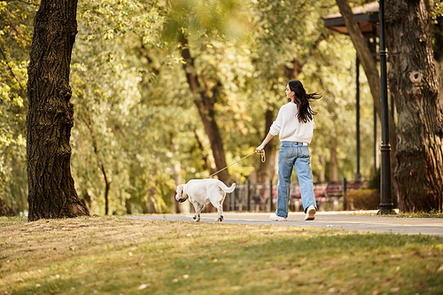 In a beautiful park filled with autumn colors, a young woman enjoys a leisurely walk with her dog.