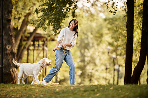 A joyful young woman walks her dog through a picturesque park surrounded by colorful autumn leaves.