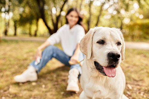 In a vibrant park, a young woman dressed for autumn plays with her joyful dog amidst fallen leaves.