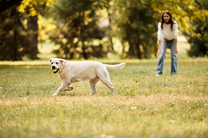 In a vibrant park, a young woman in warm layers delights in playing fetch with her furry friend.