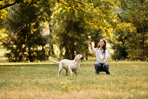 A woman in warm attire plays with her dog, tossing a ball in a sunny autumn park setting.