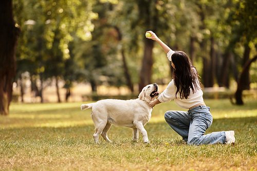 Dressed in cozy autumn attire, a young woman engages her dog with a bright tennis ball in a park.