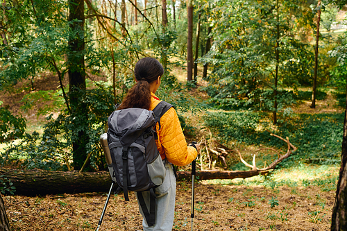 A young African American woman hikes through a colorful autumn forest, embracing the beauty of nature.