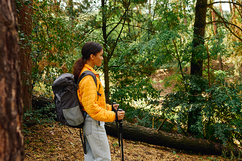 In a beautiful forest, a young woman enjoys her hike amidst the colorful autumn foliage.