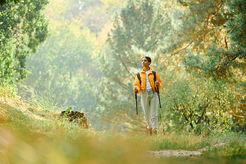 A young woman enjoys a refreshing hike through a colorful autumn forest, embracing nature beauty.