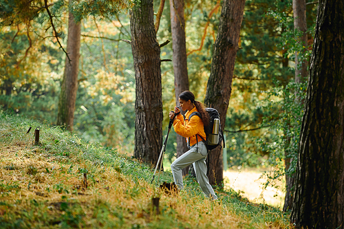 A spirited young woman explores a colorful forest, embracing the beauty of autumn during her hike.