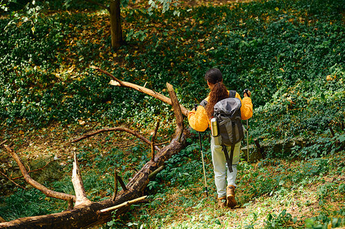 A young woman hikes through an autumn forest, surrounded by colorful foliage, embracing her adventurous spirit.