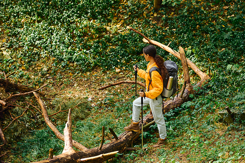 A young African American woman stands confidently on a log while hiking through an autumn forest, enjoying the moment.