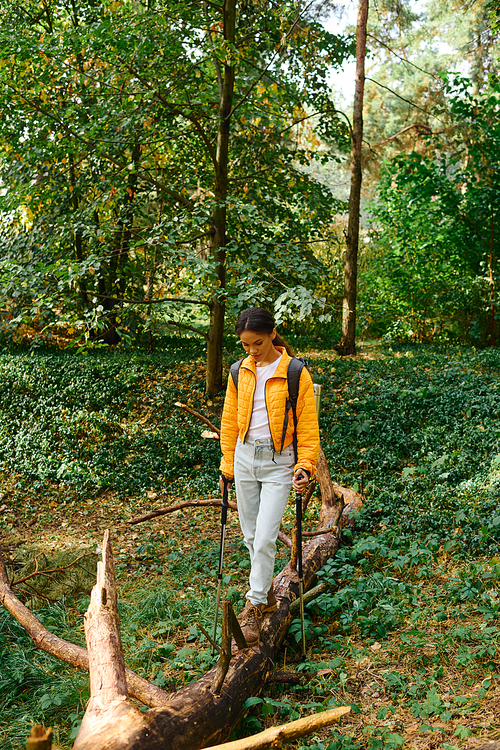 In a stunning autumn forest, a young woman explores nature, balancing on a fallen log with adventure in her heart.