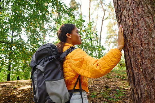 In a picturesque autumn setting, a young woman connects with nature during her invigorating hike.