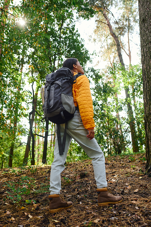 In a vibrant autumn forest, a young woman explores nature, embodying an adventurous spirit and active lifestyle.