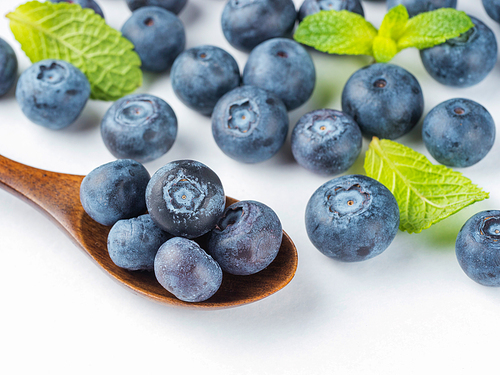 Freshly picked blueberries in wooden spoon closeup. Ripe and juicy fresh blueberries with green mint leaves on white background. Bilberry antioxidant. Healthy eating concept