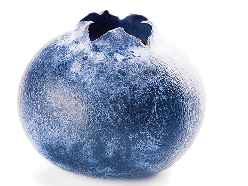 single blueberry isolated on white. Ripe blueberry in back-to-side light, isolated with clipping path