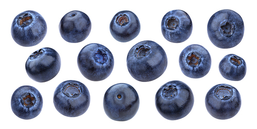 Blueberry isolated on white with clipping path, macro, collection