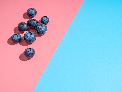 Blueberry on duotone background. Minimalistic concept. Blueberries on pink and blue background in hard light. Copy space for text or design.