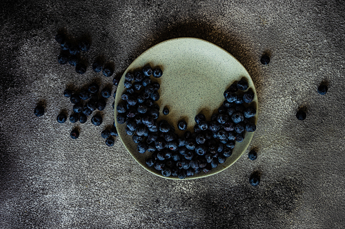 Organic food concept with ripe blueberry on rusty stone background