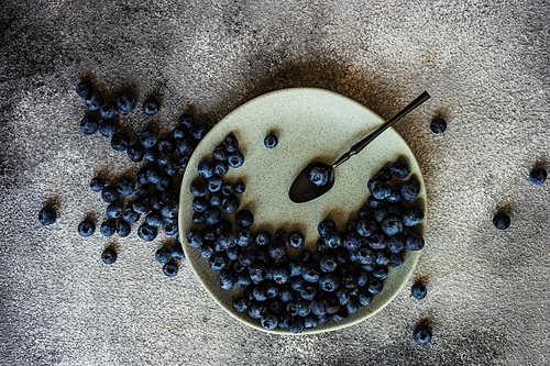 Organic food concept with ripe blueberry on rusty stone background