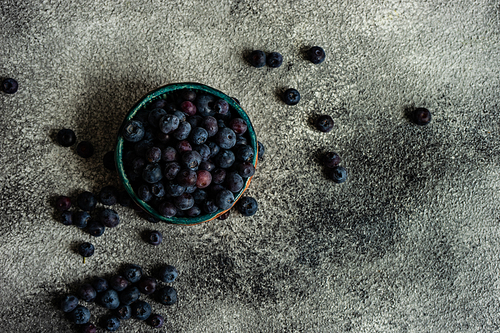 Organic food concept with ripe blueberry on rusty stone background