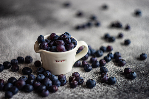 Organic food concept with ripe blueberry on rusty stone background