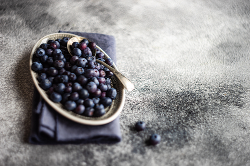 Organic food concept with ripe blueberry on rusty stone background