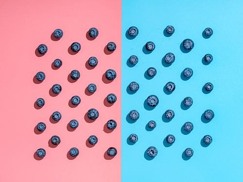 Blueberry pattern. Minimalistic concept. Top view or flat lay. Blueberries staggered on two colors background. Pink and blue minimalistic background