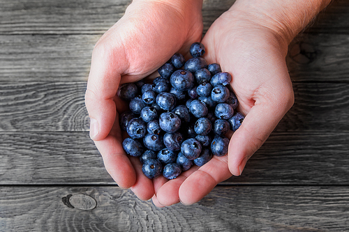 a man holds a handful of blueberries on wooden background. rustic cozy background with healthy food. fresh-gathered berries full of vitamins, good for  nutrition and healthy meals.