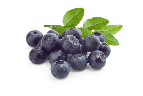 Handful of blueberries with fresh green leaves