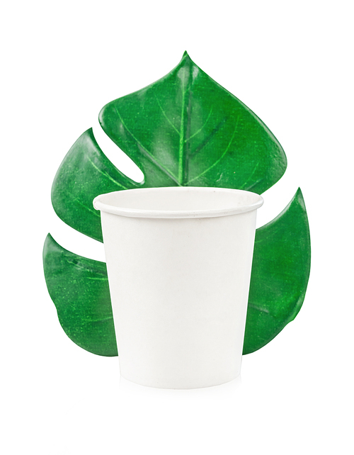 friendly craft paper cup monstera leaf isolated on white, save clipping path. recycling concept. zero waste theme