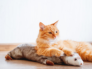 Cute ginger cat lying on floor with favorite toy - plush ferret. Fluffy pet on cozy home background.