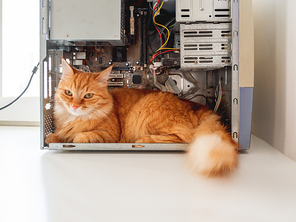 Cute ginger cat lying inside computer system unit. Fluffy pet among wires and hardware details.