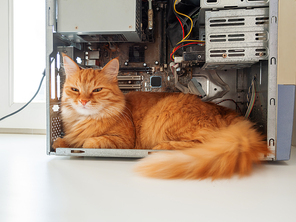 Cute ginger cat lying inside computer system unit. Fluffy pet among wires and hardware details.