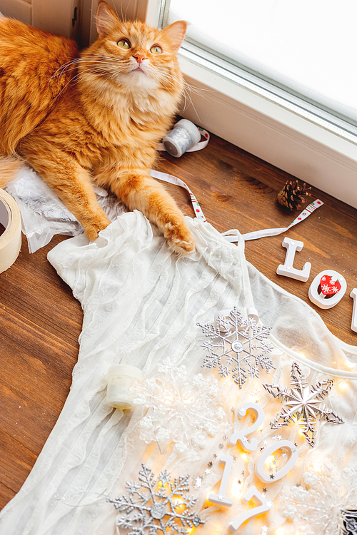 Cute ginger cat lying on wooden background with decorations. Fluffy pet helping to shoot Christmas and New Year flat lay still life backgrounds. Cozy home.