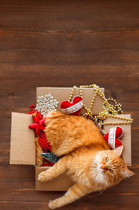 Cute ginger cat lies in box with Christmas and New Year decorations on wooden background. Fluffy pet is doing to sleep there. Place for text.