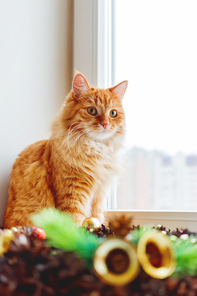 Cute ginger cat sitting on window sill near handmade Christmas wreath. Fluffy pet and craft New Year decoration.