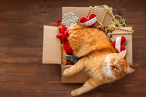 Ginger cat lies in box with Christmas and New Year decorations on wooden background. Fluffy pet is doing to sleep there.