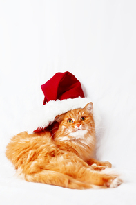 Ginger cat  in red Christmas hat lies on bed. The fluffy pet comfortably settled to sleep. Cute New Year cozy background. Symbol of holiday celebration.